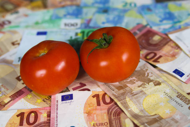 istock Two tomatos on euro paper money bank notes 1167366566