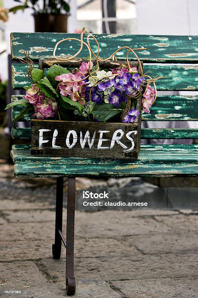 木の花のボックス - アジサイ属のロイヤリティフリーストックフォト