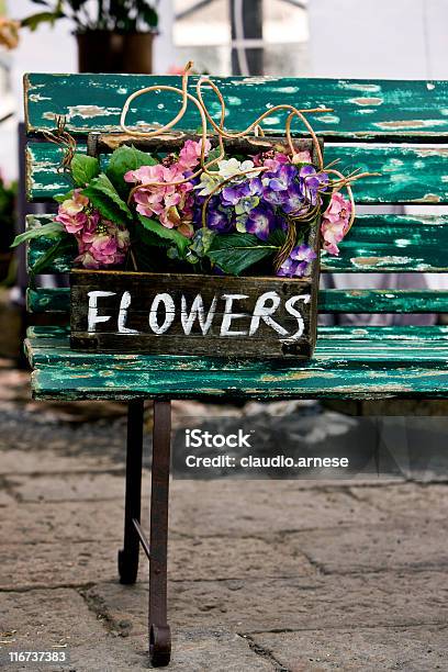 木の花のボックス - アジサイ属のストックフォトや画像を多数ご用意 - アジサイ属, カラー画像, クレート