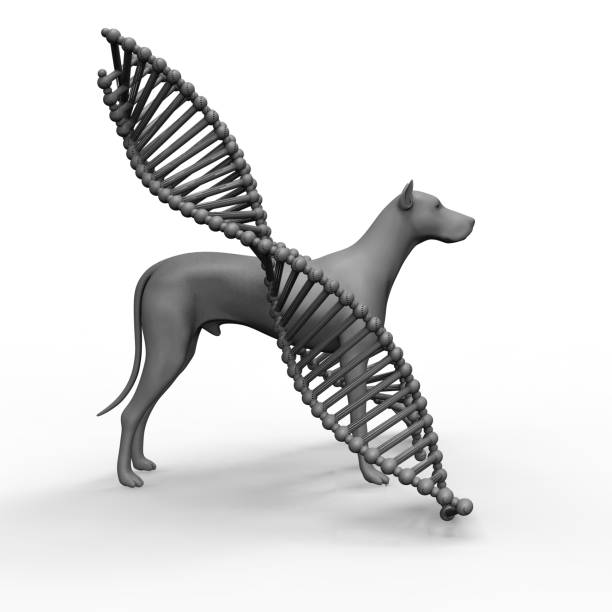 istock Genetic treatment in veterinary 1167382808