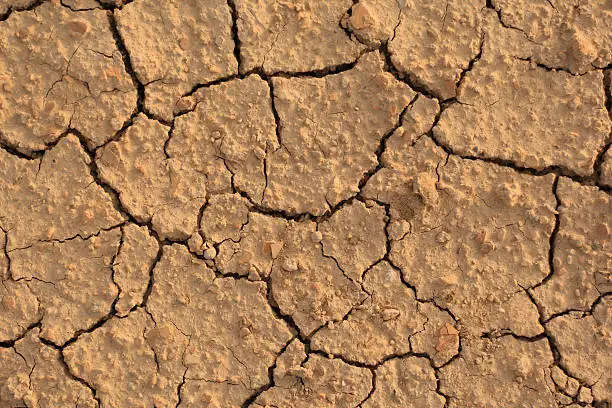 Photo of Drought background