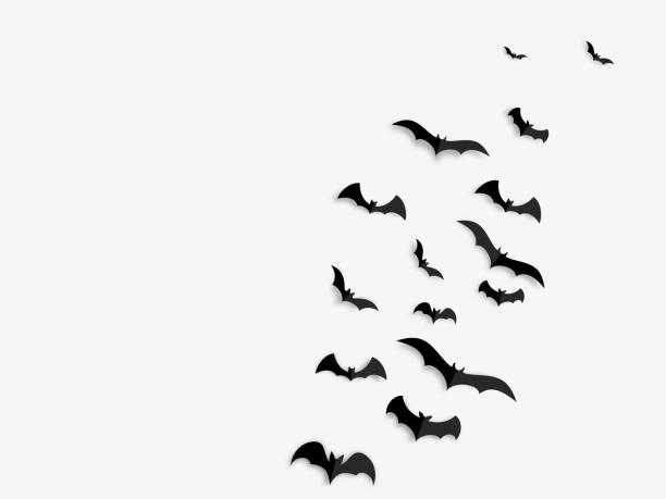 Happy Halloween banner concept. Black paper bats on white background. Vector illustration. Happy Halloween banner concept. Black paper bats on white background. bat silouette illustration stock illustrations
