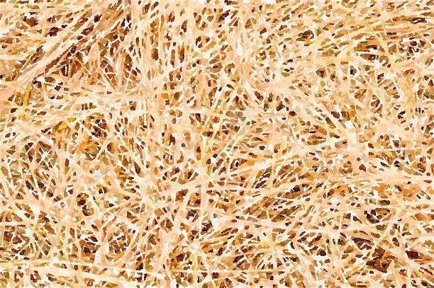 istock watercolor of brown color pattern background 1167390964