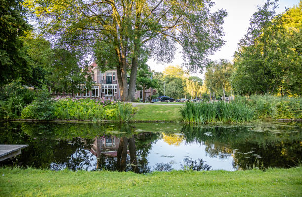 istock Trees shadows, reflections on the pond, sunny spring day. Rotterdam, Netherlands. 1167392810