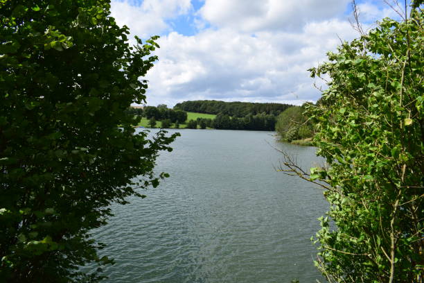 istock Reservoir in rural Eifel, Freilinger See 1167392923