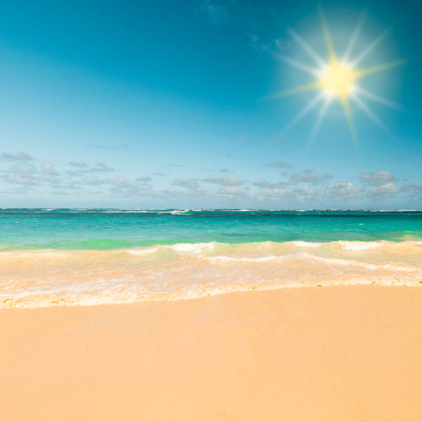 Sunny tropical caribbean beach Sunny tropical caribbean beach with sand and turquoise water. The sun over the open sea. Surf wave in the ocean. truism stock pictures, royalty-free photos & images