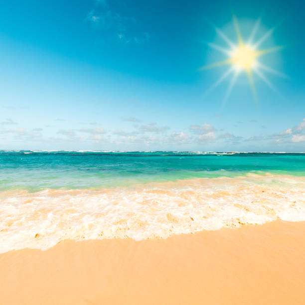 Sunny tropical caribbean beach Sunny tropical caribbean beach with sand and turquoise water. The sun over the open sea. Surf wave in the ocean. truism stock pictures, royalty-free photos & images