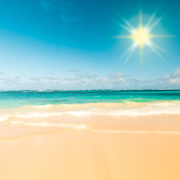 istock Sunny tropical caribbean beach 1167395043