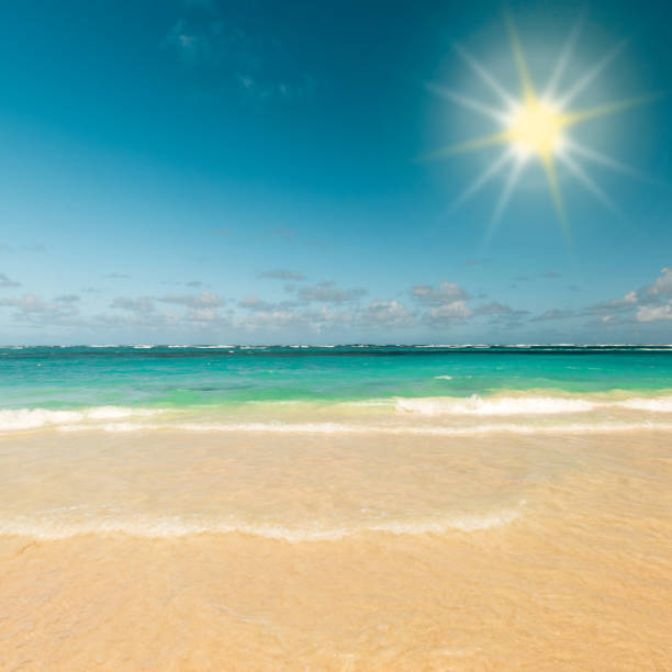 Sunny tropical caribbean beach Sunny tropical caribbean beach with sand and turquoise water. The sun over the open sea. Surf wave in the ocean. truism stock pictures, royalty-free photos & images