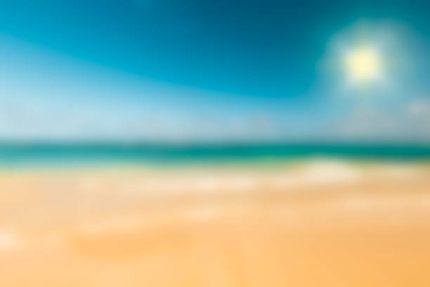 istock Sunny tropical caribbean beach 1167395046