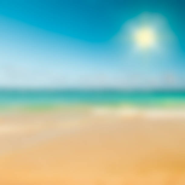 istock Sunny tropical caribbean beach 1167395063