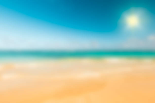 istock Sunny tropical caribbean beach 1167395064
