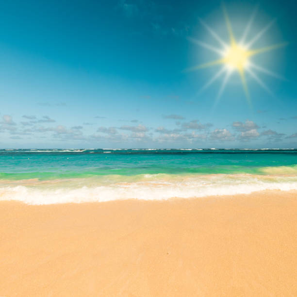 istock Sunny tropical caribbean beach 1167395066