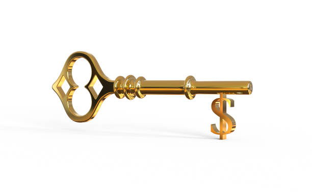 istock Key to money concept 3d illustration on a white background 1167398016