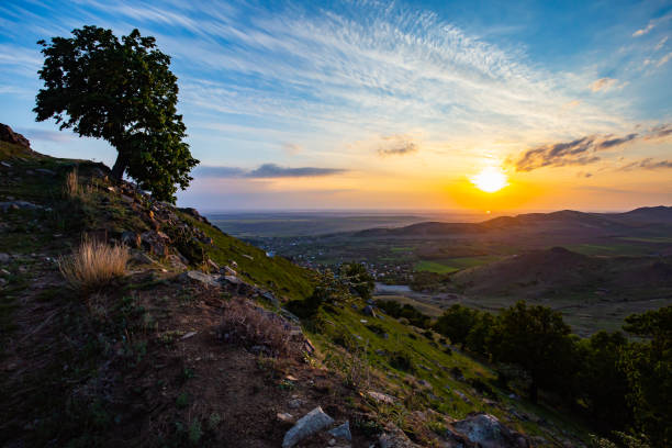 istock Tree on a steep slope of Tutuiatu peak in ancient eroded Macin mountains with Greci village far down in the background at sunset in Romania during summer 1167398043