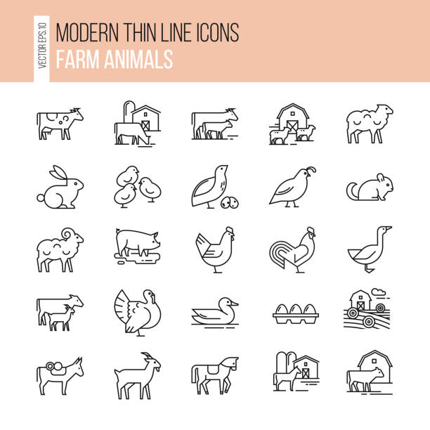 Collection of illustrations in line style, well-drawn and isolated on white background Vector set of farm animals icon set. Collection of illustrations in line style, well-drawn and isolated on white background. pig symbols stock illustrations