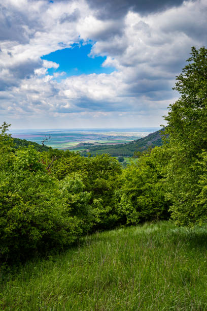 istock View from a meadow on a hiking trail in a dense deciduous forest in Macin mountains in Romania towards agricultural fields far down in background under a cloudy sky during spring-summer 1167399384