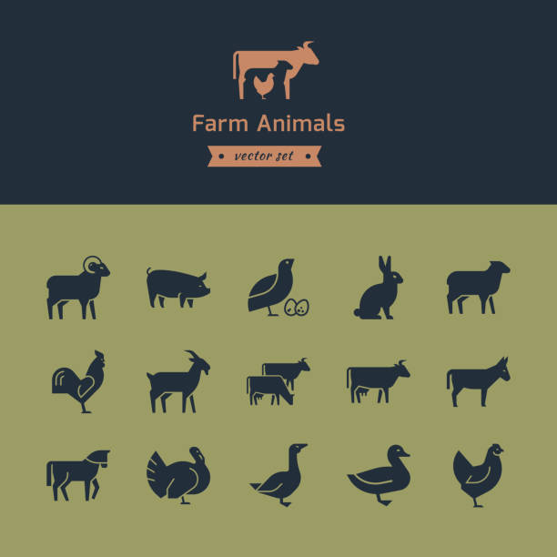 illustrations, cliparts, dessins animés et icônes de ensemble d'icônes d'animaux de viande avec des animaux dans le profil. collection vector faite dans un style rétro - goose meat