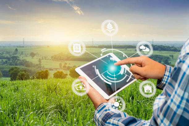 Innovation technology for smart farm system, Agriculture management,