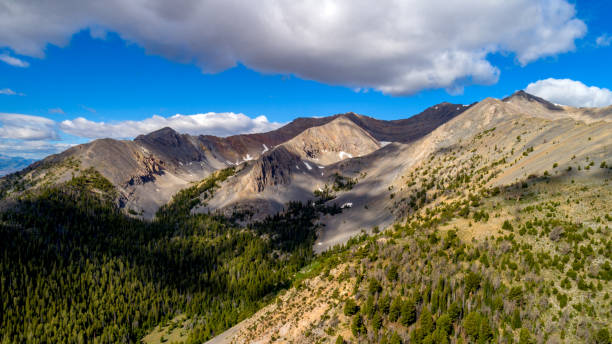 istock High mountain canyon filled with trees and a tiny bit of snow 1167400585