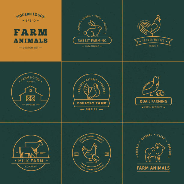 illustrations, cliparts, dessins animés et icônes de ensemble vectoriel de 8 logos de ferme fabriqués dans un style linéaire - lamb young animal sheep livestock