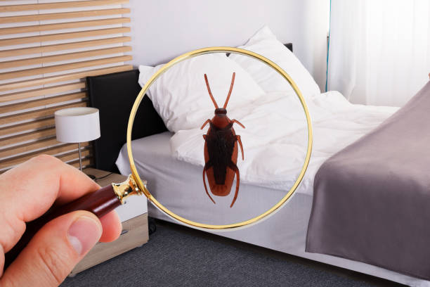 istock Housekeeper Making Bed In Hotel Room 1167402272