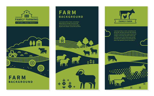 ilustraciones, imágenes clip art, dibujos animados e iconos de stock de conjunto de estandartes vectoriales sobre temas rurales, antecedentes agrícolas, agricultura familiar - chicken animal farm field