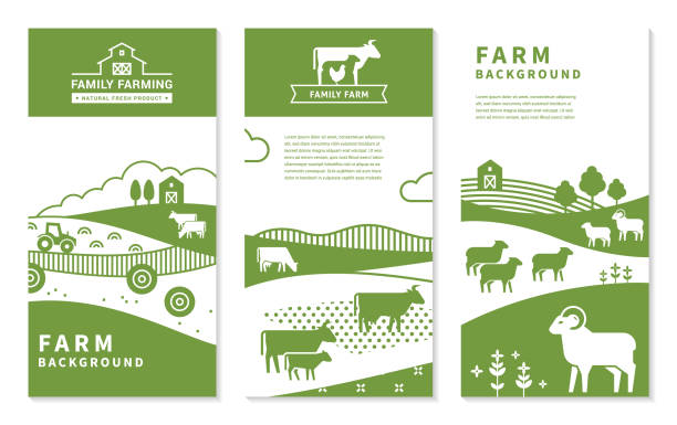 Set of vector banners on rural themes, farm background, family farming Set of vertical vector banners on rural themes, farm background, family farming. Great for print and internet. agricultural themes stock illustrations