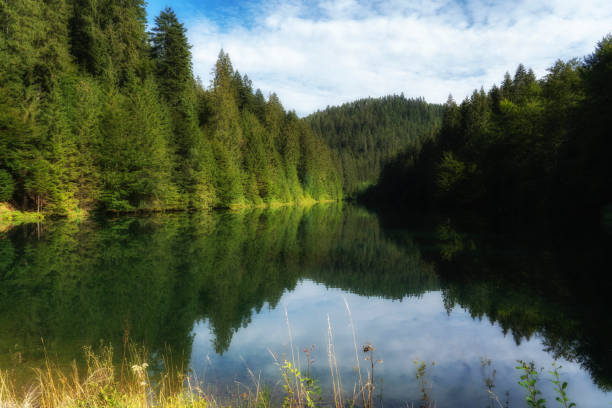 istock potable water reservoir in the Black Forest 1167405163