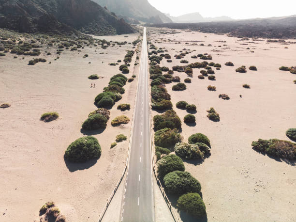 istock Empty straight road trough vulcano crater - Tenerife 1167405321