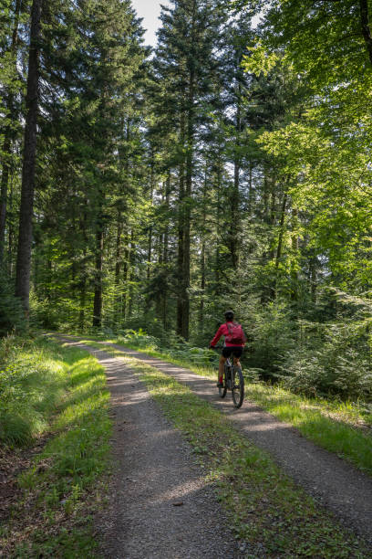 istock cyling in the black forest 1167405454