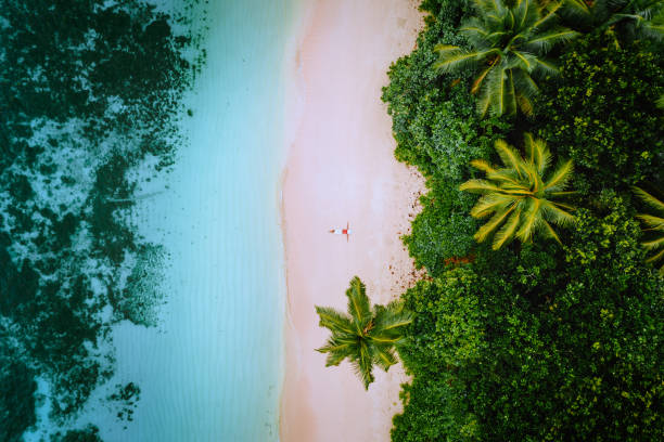 vista aérea de una joven que se relaja en la playa de arena del paraíso tropical rodeada de palmeras y aguas cristalinas de azul ocena poco profundas - horizon over water environment vacations nature fotografías e imágenes de stock