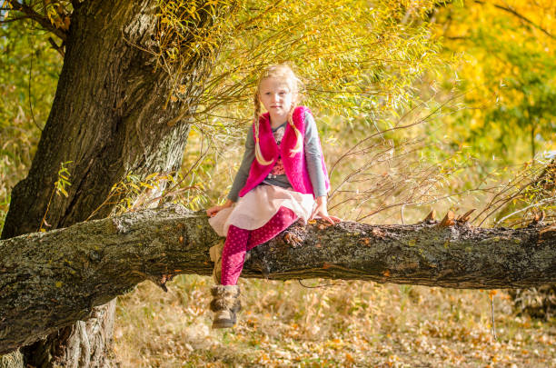 istock sitting in the tree branch in autumnal sunset atmosphere 1167406787