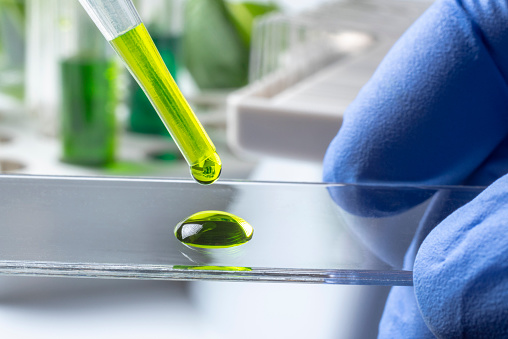 Detailed photograph of a scientist holding a microscope slide. An eyedropper drips liquid onto the slide. There are plants in the background out of focus. There is minimal depth of field and focus is on the center portion of the bright green liquid sample but quickly fades out of focus.