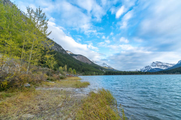 istock Vermilion lake ,Banff National park 1167410181