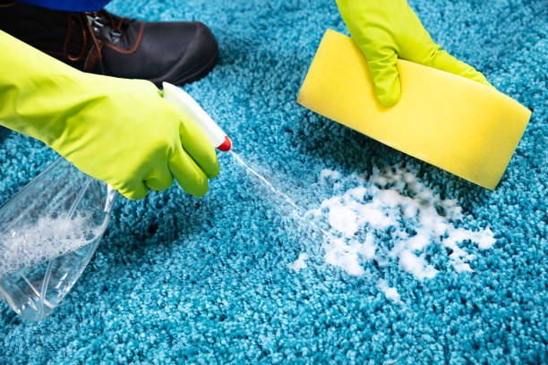 istock Person Cleaning Stain On Carpet 1167411789