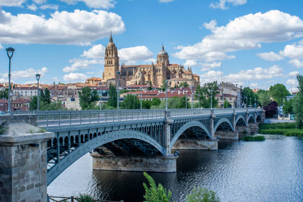 istock Salamanca Cathedral in Spain 1167413176