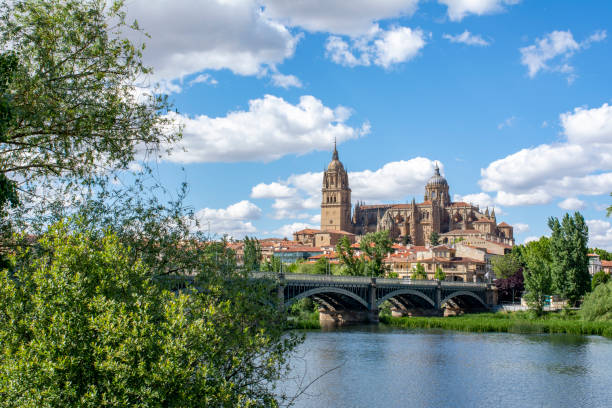 istock Salamanca Cathedral in Spain 1167413179