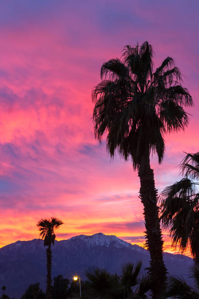 istock Sunset in Southern California 1167413407