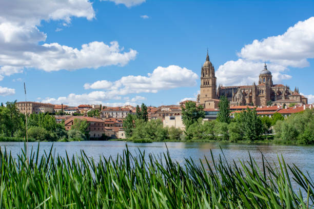 istock Salamanca Cathedral in Spain 1167413588
