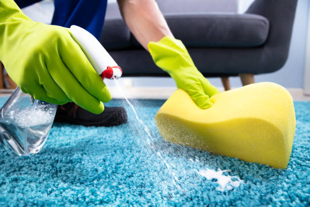istock Person Cleaning Stain On Carpet 1167416882