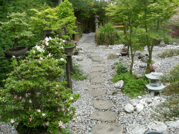 istock Image of stepping stones pathway in garden featuring Japanese elements, featuring granite lanterns, bamboo, pebbles, bonsai and Japanese maples (acers) 1167418355