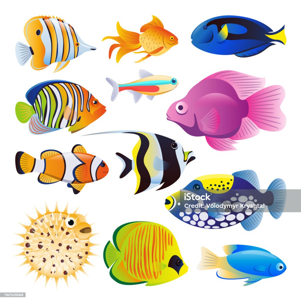 Ilustración de Los Peces Marinos Vectores Planos Dibujos Animados Ilustración Arrecife Oceánico Tropical O Acuario Hogar De Peces Exóticos Conjunto y más Vectores Libres de Derechos de Arrecife - Fenómeno natural - iStock Ilustración de Los Peces Marinos Vectores Planos Dibujos Animados Ilustración Arrecife Oceánico Tropical O Acuario Hogar De Peces Exóticos Conjunto y más Vectores Libres de Derechos de Arrecife - Fenómeno natural - iStock