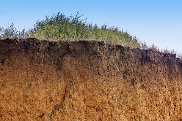 istock clay coastal cliff as background texture for artists 1167422056