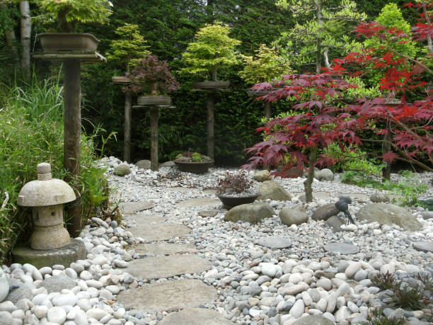 istock Image of stepping stones pathway in garden featuring Japanese elements, featuring granite lanterns, bamboo, pebbles, bonsai and Japanese maples (acers) 1167422412