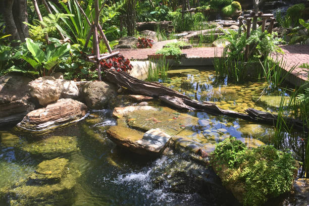 istock Garden with pond in asian style. 1167422479