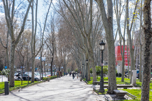 persone che camminano nel paseo del prado nella città di madrid, in spagna. - art museum museum architecture bench foto e immagini stock