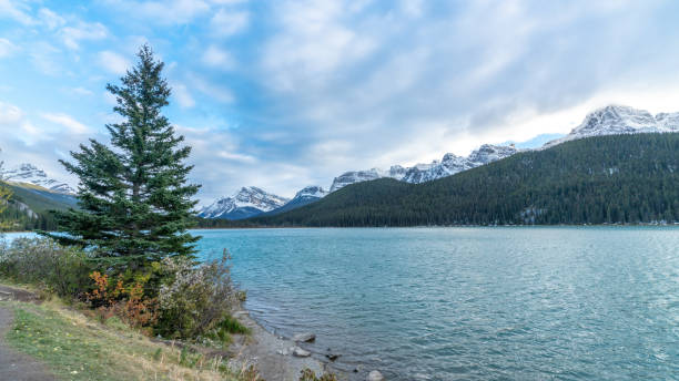 istock Bow river in Banff National par 1167425432