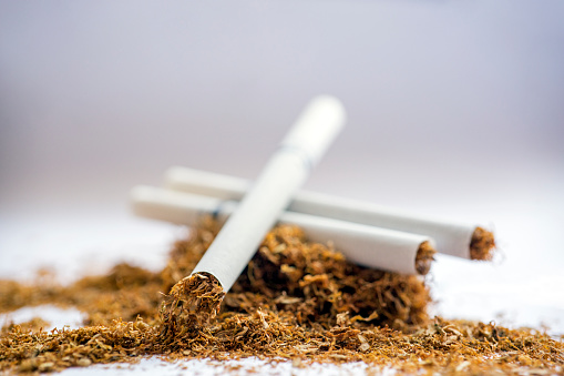 Close up view of the filtered cigarettes on stack of tobacco. Also known colloquially as a fag in British English is a narrow cylinder containing psychoactive material, usually tobacco, that is rolled into thin paper for smoking.