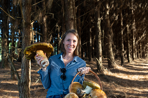 Image of a woman carrying a basket with wild Porcini mushroom (Boletus edulis) at a pine tree forest